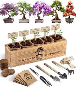 AVERGO Bonsai Tree Kit – 5X Unique Japanese Bonzai Trees | Complete Indoor Starter Kit for Growing Plants with Bonsai Seeds, Tools & Planters – Gardening Gifts for Women & Men