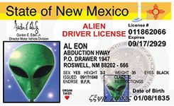 Signs 4 Fun Parody Driver’s License | New Mexico Alien ID | Fake ID Novelty Card | Collectible Trading Card Driver’s License | Novelty Gift for Holidays | Made in The USA