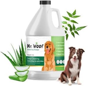 Mr. Woof H