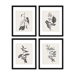 ArtbyHannah 11x14 Inch Framed Kitchen Wall Art with Black Frames and Plant Prints for Living Room, Gallery Wall Set of 4 with Extra Print Set Home Decoration