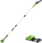 Greenworks 24V 8" Pole Saw, 2Ah Battery and Charger Included PS24B210