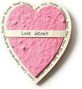 Bloomin Mini Pink Heart-Shaped Seed Paper Enclosure Cards 9 Card Set - Perfect for Valentine's Day, Mother's Day and Wedding Anniversaries! Size: 2.25 x 2.25 by Bloomin