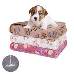 Ladadee Waterproof Dog Blankets for Small Dogs, 1 Pack 3 Washable Super Soft Puppy Blankets for Girl Dogs, Reversible Fleece Furniture Protector Couch Blanket for Dog Cats (Paw-1, S-23 * 16in)