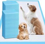 XXXL Puppy Pee Pads for Dogs 31"x47