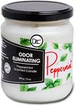 Peppermint Odor Eliminating Highly Fragranced Candle - Eliminates 95% of Pet, Smoke, Food, and Other Smells Quickly - Up to 80 Hour Burn time - 12 Ounce Premium Soy Blend