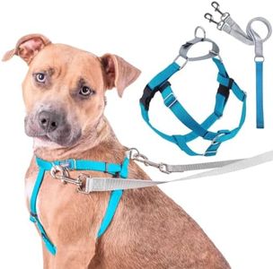 2 Hounds Design Freedom No Pull Dog Harness | Comfortable Control for Easy Walking |Adjustable Dog Harness and Leash Set | Small, Medium & Large Dogs | Made in USA | Solid Colors | 1" XXL Turquoise