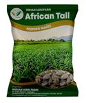 Iagrifarm African Tall Fodder Maize/Makka (Zea Mays) - 5 Kg for Fodder Cultivation