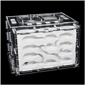 Ant Farm DIY Ecological Plaster Ant Farm Acrylic Ant House Ant Nest Workshop Pet Anthill Villa Insect Box (Size : L)