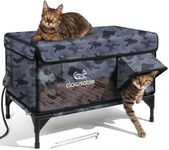Outdoor Heated Cat House in Winter,
