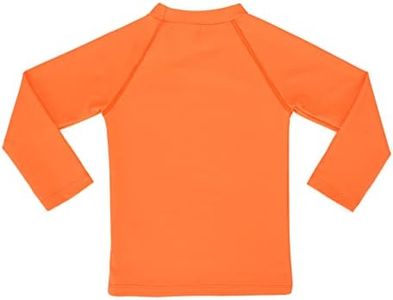 KAKU NANU Long Sleeve Rash Guard Boy Kids UPF 50+ Swim Shirt(Orange,9-10)