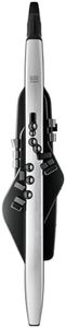 Roland AE-