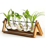 XXXFLOWER Plant Terrarium Propagation Station with Wooden Stand for Gardening Plant Gifts Air Planter Bulb Glass Vase Retro Tabletop Holder Hydroponics for Indoor Decoration-5 Colourful Bulb Vase