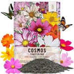 Bulk Package of 7,000 Seeds, Crazy Mix Cosmos (Cosmos bipinnatus) Non-GMO Seeds by Seed Needs