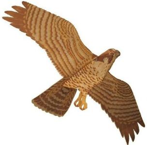 Jackite Assembled Peregrine Falcon Bird Kite Wind Sock