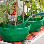 Easylife Hercul-Easy Plant Watering System Set of 3, Plant Halos, Watering Spikes, Tomato Watering System, Planters, Suitable for Indoor and Outdoor Use, H13cm x D29cm - Fully Guaranteed