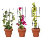 TrustBasket Metal Plant Trellis for Climbing Plants (Set of 3) | Plant Support for Climbers | Indoor/Outdoor | for Balcony, Living Room Decor