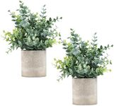 Coferset 2 Pack Small Fake Plants E