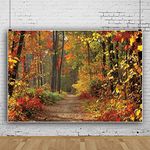 10x8ft Vinyl Autumn Forest Scenery 