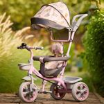 Lifelong Kids Parental Control Tricycle with Hood,Harness, EVA Wheels, Bell & Storage Basket|Baby Trike|Age Group 1 Years to 4 Years Carrying Capacity Upto 30 kgs