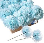 Royal Imports Artificial Carnations, Silk Faux Flowers, for Funeral Arrangements, Wedding Bouquets, Cemetery Wreaths, DIY Crafts - 100 Single 5" Stems - Lite Blue