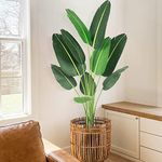 Alkmaar 60" Artificial Tree Bird of Paradise Artificial PlantFaux Plant for Home Decor Indoor Outdoor Office (60 inch-1 Pack)