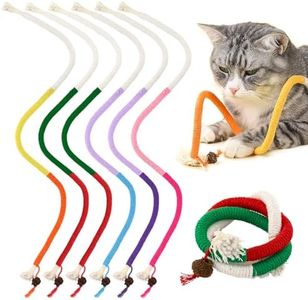 6 PCS Cat 