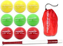 PowerNet Sweet Spot Training Bat + 