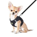 FEimaX Cat Harness and Leash Set for Escape Proof Walking, No Pull Reflective Soft Mesh Puppy Step-in Vest Harness Adjustable Car Harness for Small Dogs Cats Animals