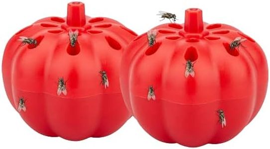 Fruit Fly 