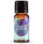 The Premium Nature Pure English Lavender Oil Essential Oil for Diffuser- Lavender Oil Essential Oils for Skin - Lavender Essential Oil for Hair (English Lavender, 10 ML)