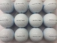 TITLEIST Pro V1 Golf Balls 2023-2024 Model Pearl-Grade A Used Lake Balls 12 pack