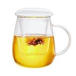 JPPSUJJ Glass Tea Cup with Infuser 