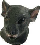 Bristol Novelty BM365 Rat Mask, One Size