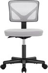 Sweetcrispy Office Desk Chair, Ergo