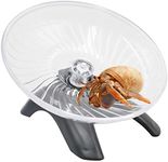 Hermit Crabs Wheel Toy, Hamster Run