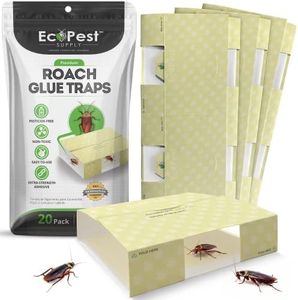 Roach Trap