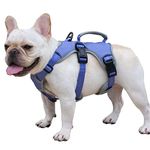 Huntboo Escape Proof Dog Harness, Escape Artist Harness, Reflective Dog Harness with Handle, Durable,Adjustable Vest for Small Medium Large Dogs Walking, Training,and Running Gear(Technicolor Blue,XL)