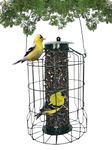 Backyard Essentials Caged Seed Bird Feeder for Wild Birds, Petite Caged Bird Seed Feeder for Outdoors