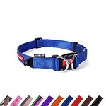 EZYDOG Double Up Dog Collar | Dog Collar Small, Medium, Large Dogs, Reflective Dog Collar, Supreme Comfort, Soft Neoprene Material, Strong Nylon Webbing (Medium, Blue)