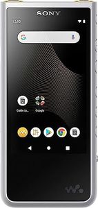 Sony Nw-ZX