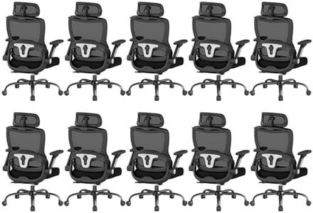 Keratee Ergonomic Office Chair, Home Computer Chair with 3D Adjustable Headrest and 4D Flip-Up Armrests, Adjustable Lumbar Support, Suitable for Office and Study,10PC,Black