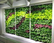 Vertical Gardens