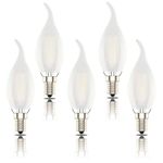 E14 Led Candle Bulbs, Frosted Flame Filament, SES C35 Small Edison Screw Light Bulb, 4W (40W Equivalent),Warm White 2700K, Pack of 5