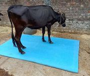 DM DASII Long Lasting Ethylene Vinyl Acetate Free Easy Clean Raised Edges Waterproof Animal Feeding Mat for Cow, Buffalo & Bull(Standard, Blue)