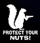 CCI Creative Concept Ideas Protect Your Nuts Funny Squirrel Decal Vinyl Sticker|Cars Trucks Vans Walls Laptop| White |5.5 x 5.75 in|CCI910