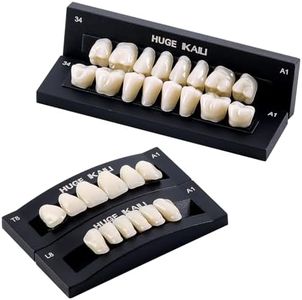 JMU 28 Pcs/Set Dental Acrylic Resin Denture Teeth Shade A1 T8 Resin Synthetic False Teeth