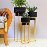 Hiftocraft™ Modern metal decorative floor standing white and gold indoor outdoor plant stand with pot for home decor living room office bedroom balcony (Set of 3) (Black)