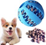 PetVogue (Newly LAUNCHED Dog Toy Ball, Nontoxic Bite Resistant Toy Ball for Pet Dogs Puppy Cat, Dog Pet Food Treat Feeder Chew Tooth Cleaning Ball Exercise Game, Medium/Small Dogs Toy. (Blue)