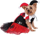 Rubie's DC Comics Harley Quinn Pet Costume, Large