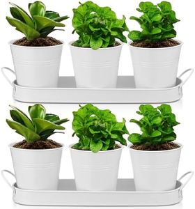 Hicarer 2 Sets Herb Planter with Tray Metal Herb Garden Planter with Drainage Farmhouse Windowsill Pots for Indoor Plants Flower Succulent Outdoor Kitchen Apartment Balcony Window, White